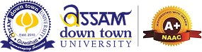 Assam down town University